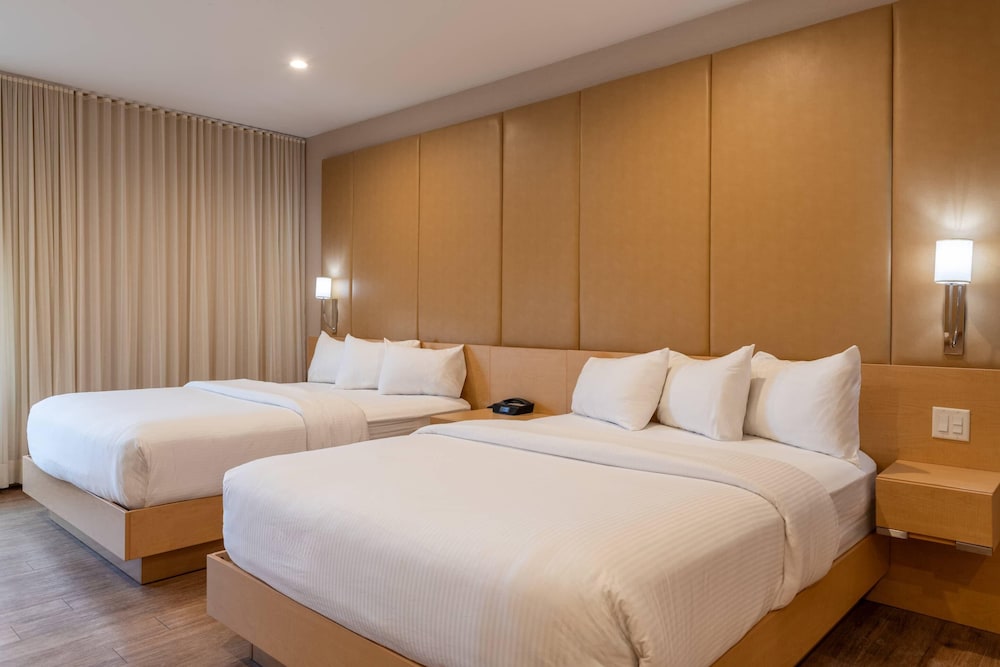 The Chandler Inn Bethlehem - Littleton, an Ascend Collection Hotel 23/61