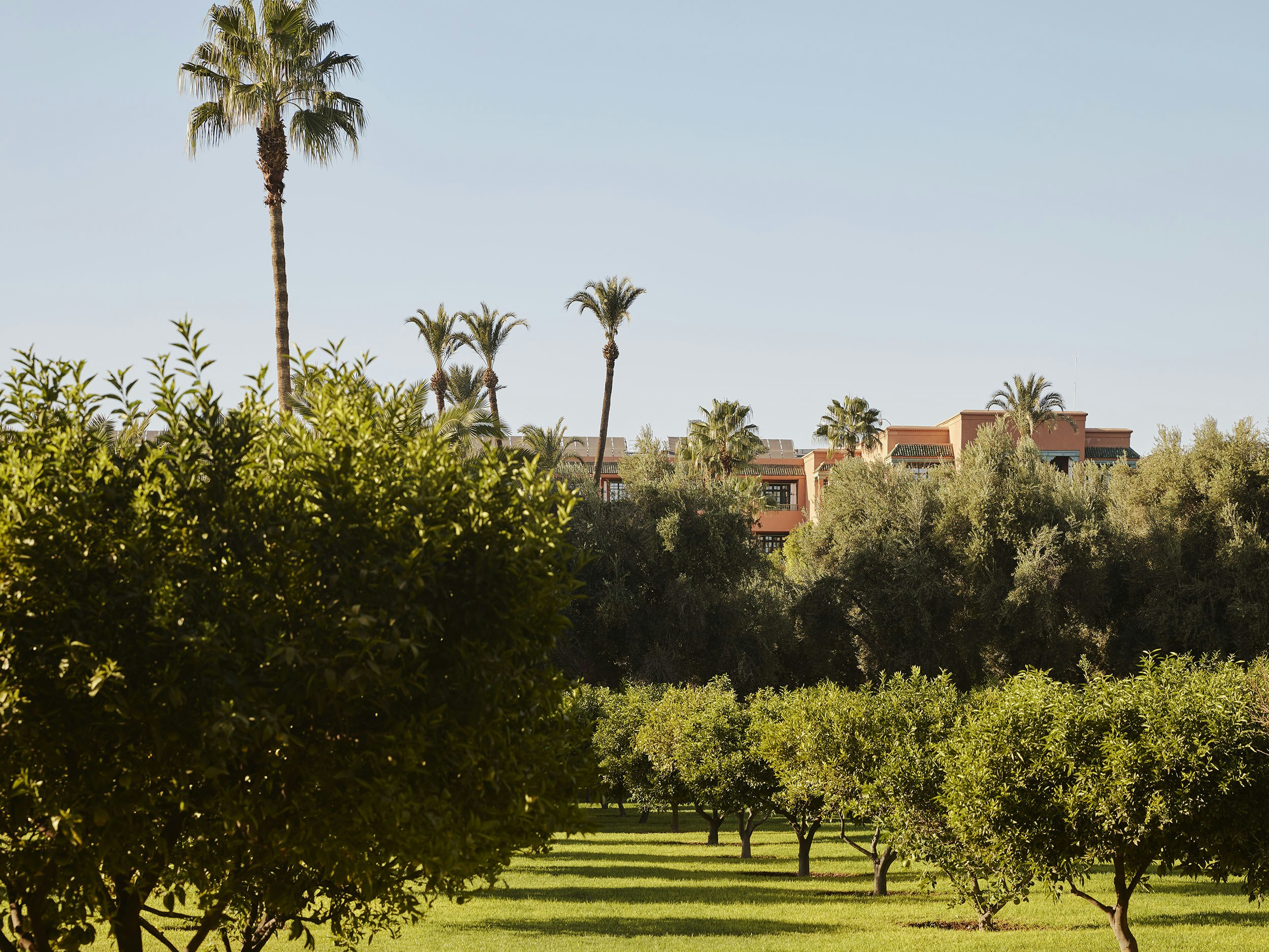 LA MAMOUNIA 74/78