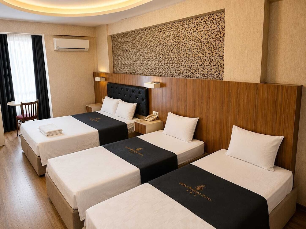 Grand Mardin-I Hotel 12/50