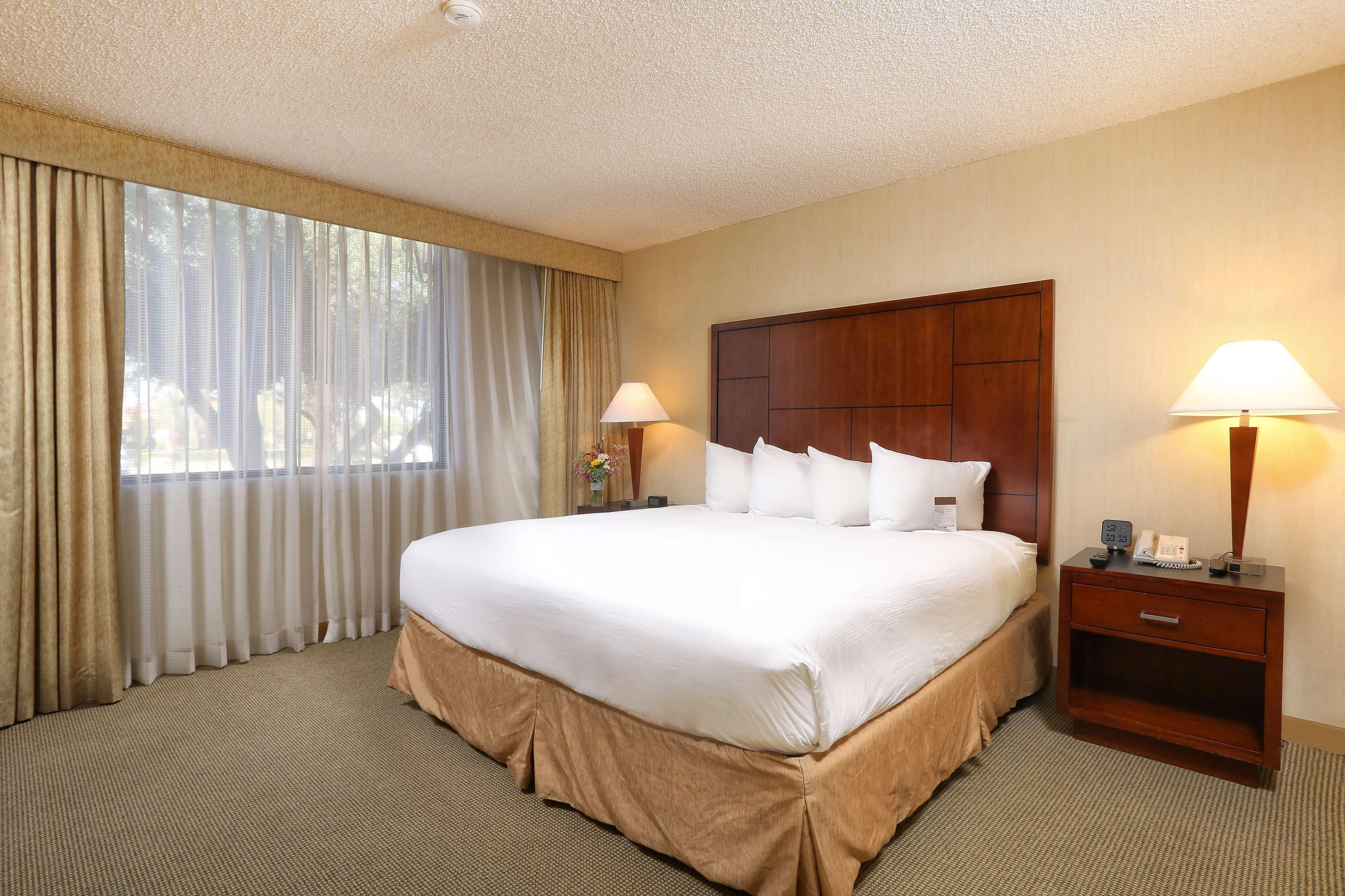 2 ROOMS, SUITE, KING BED, SOFA