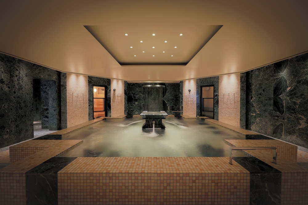 Park Hyatt Tokyo 29/64