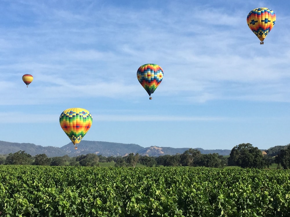 Napa Valley Hotel Suites 51/79