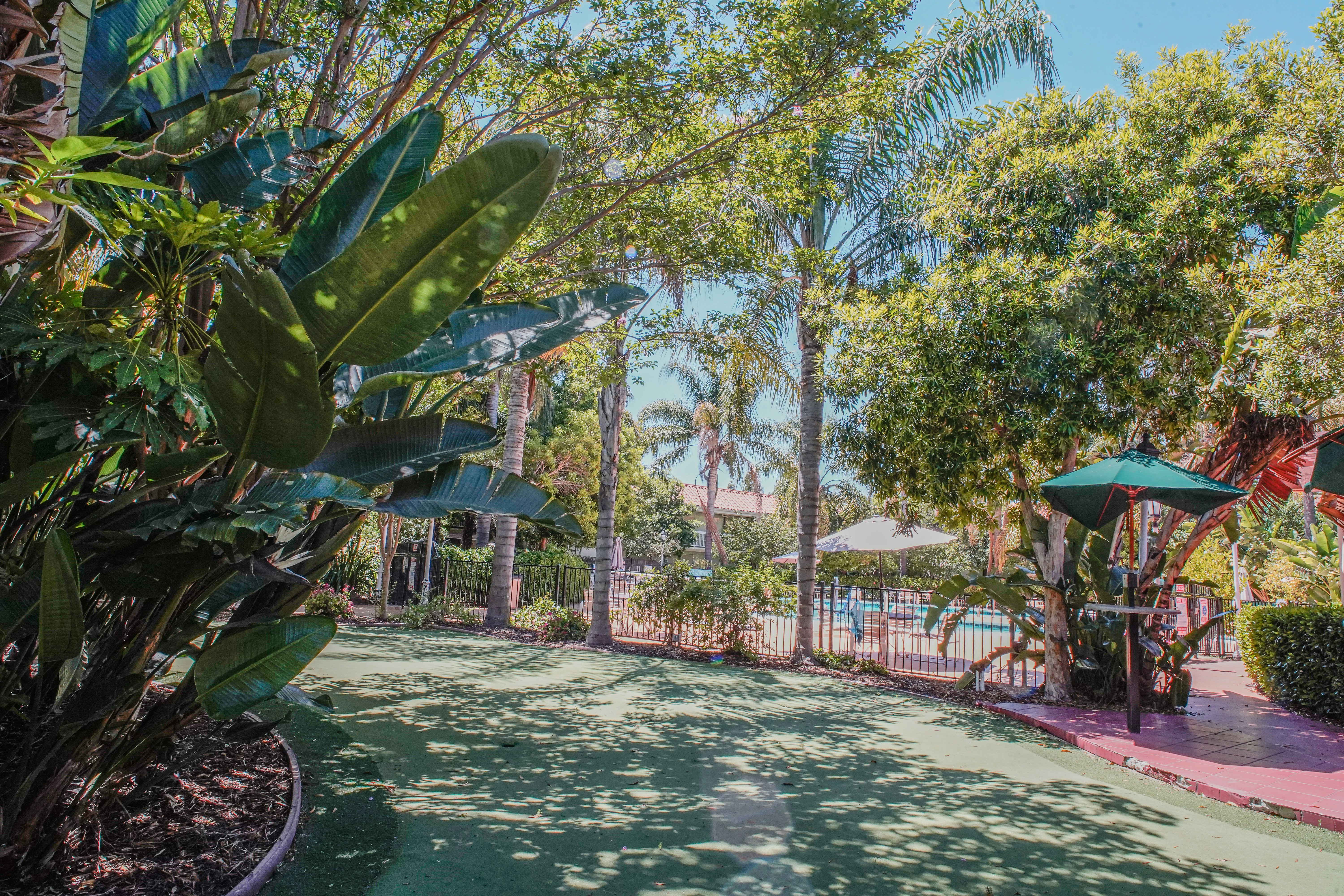 Uptown Oasis San Jose Airport 24/32