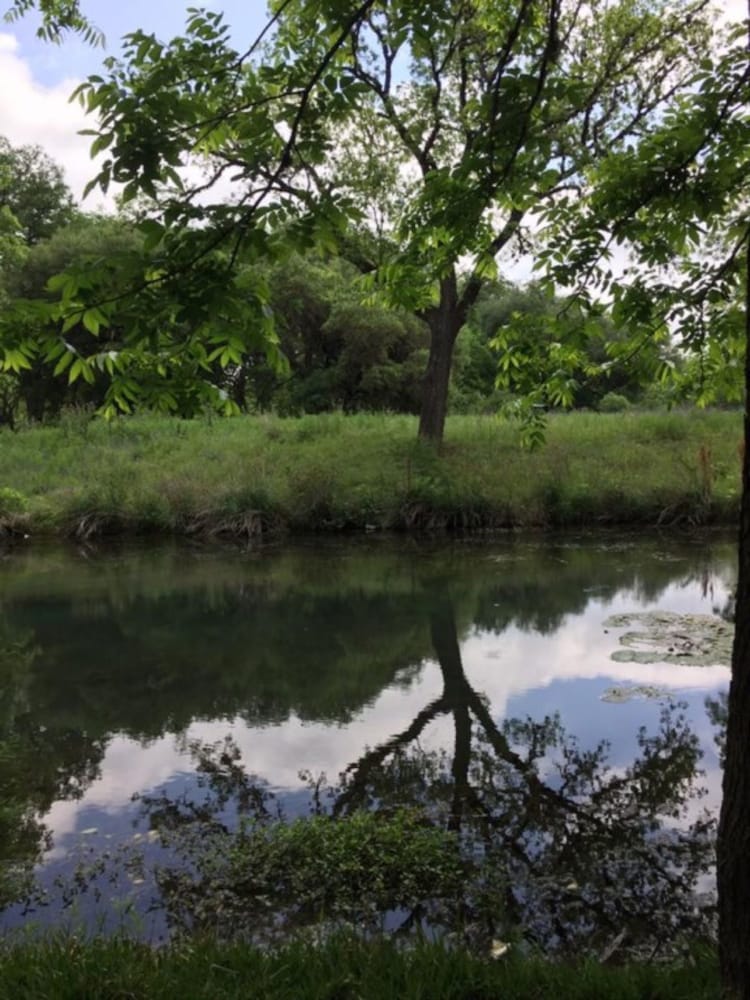 Frio Springs Lodges 48/50