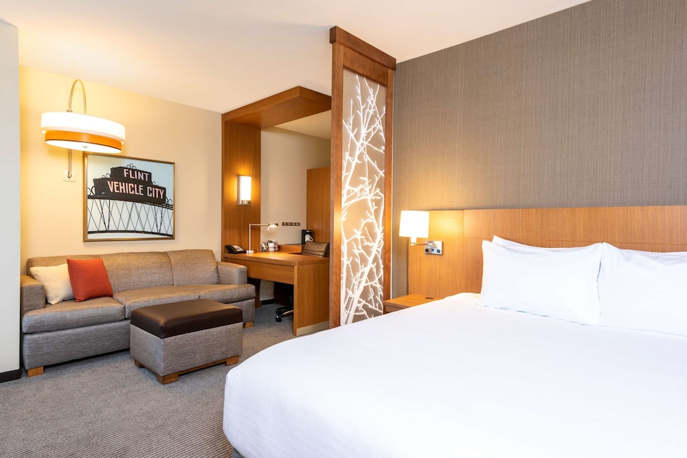 Hyatt Place Flint/Grand Blanc 15/47