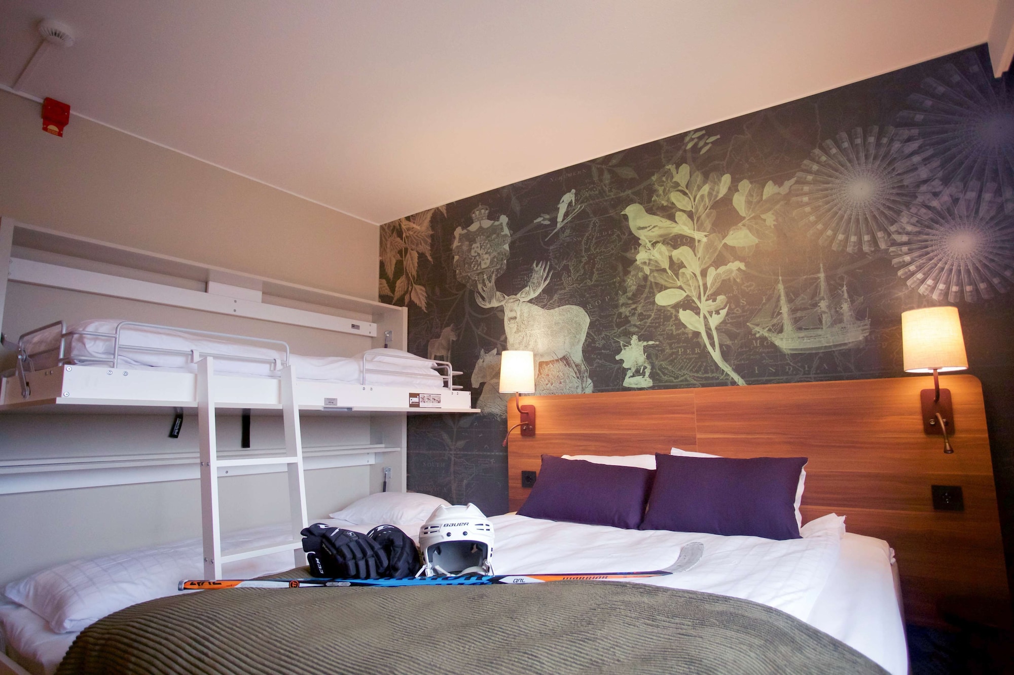 Superior, Family, 2 Murphy Beds, Queen Bed