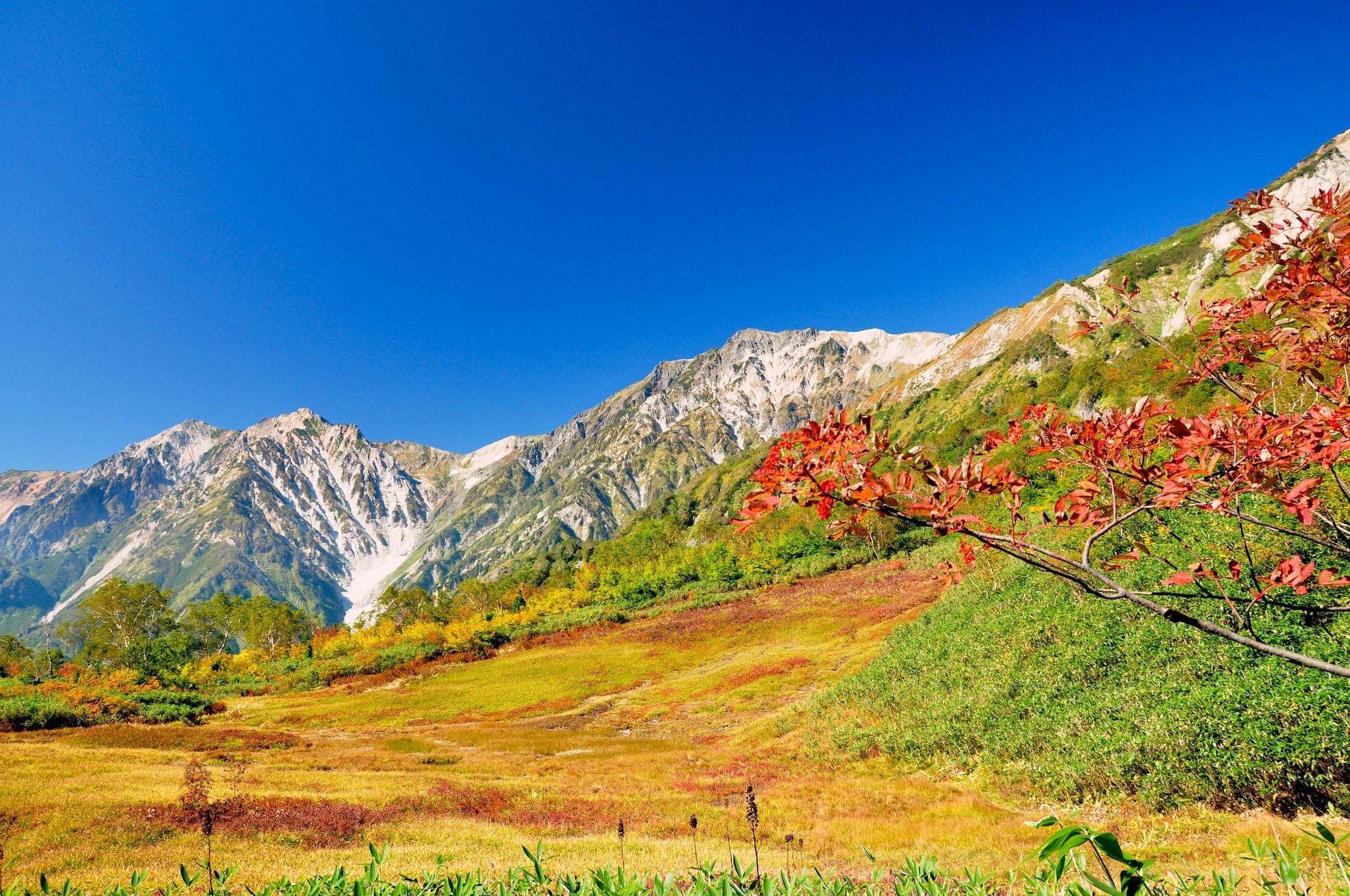 Hotel Hakuba Berghaus 46/50