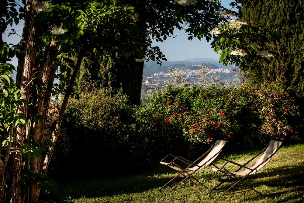 Il Poggio Degli Olivi 43/50