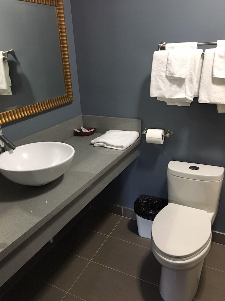 Hollywood Palms Inns & Suites 52/56