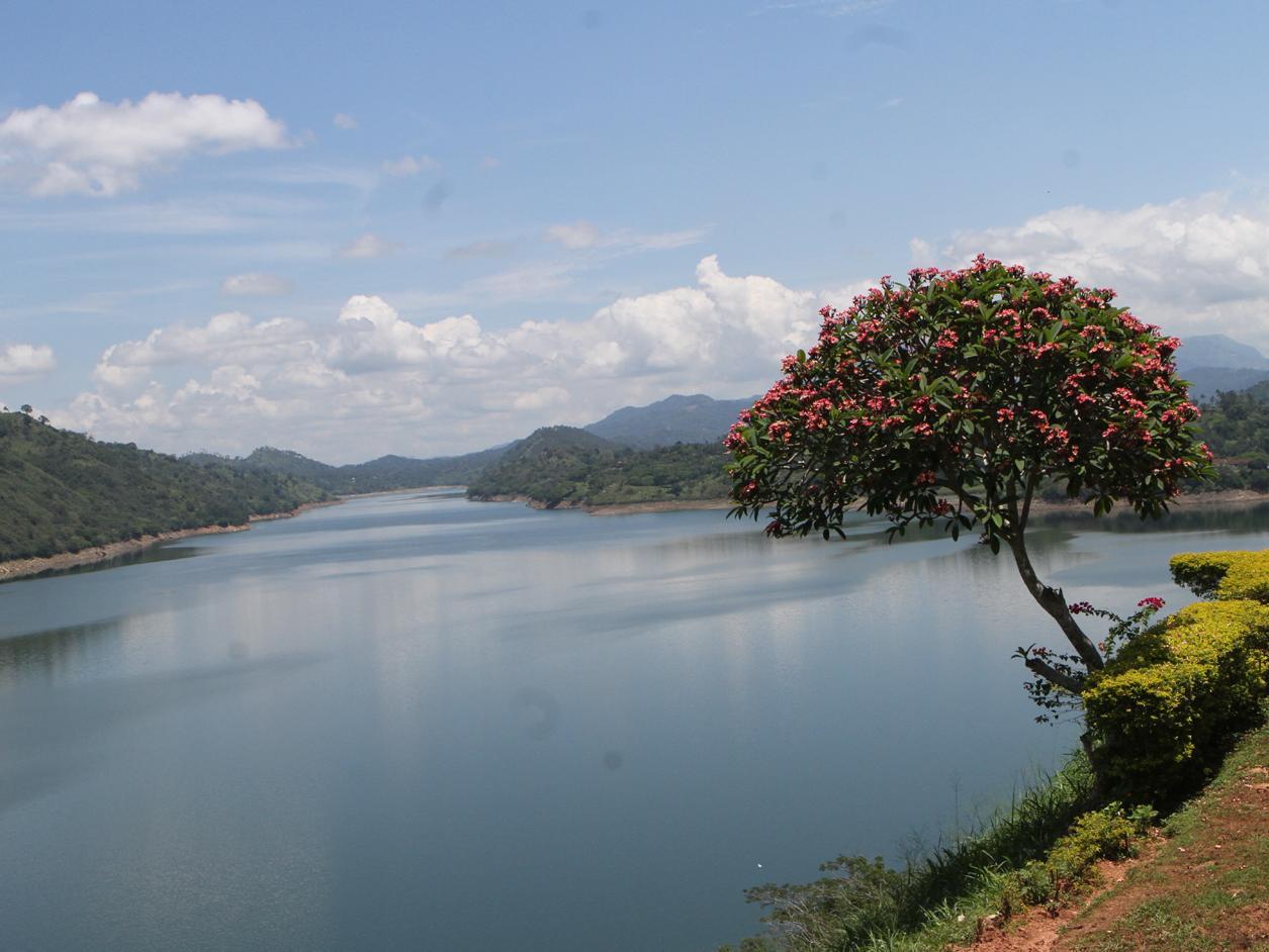 Peradeniya Rest Inn 10/16