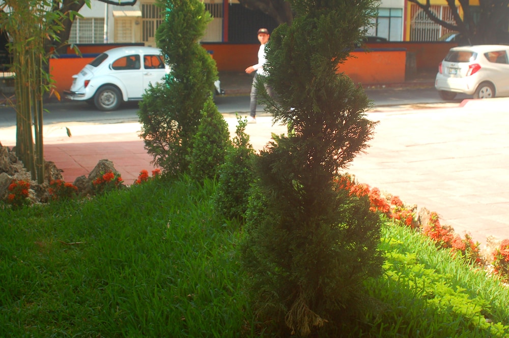 Axkan Arte Tuxtla 39/45