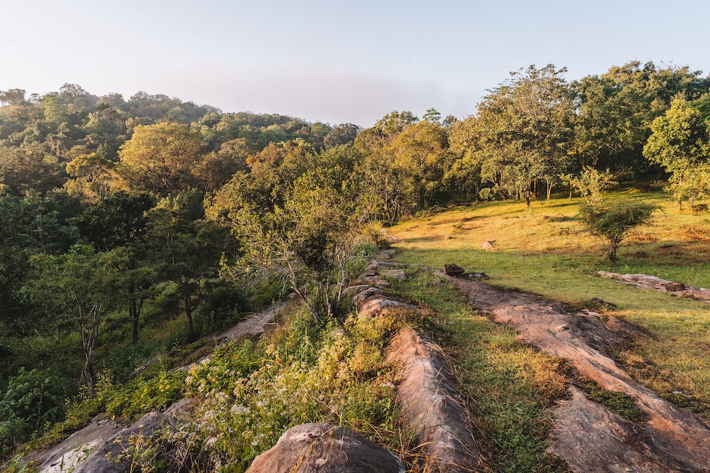 Ahaspokuna Bushwalks Camp 47/50