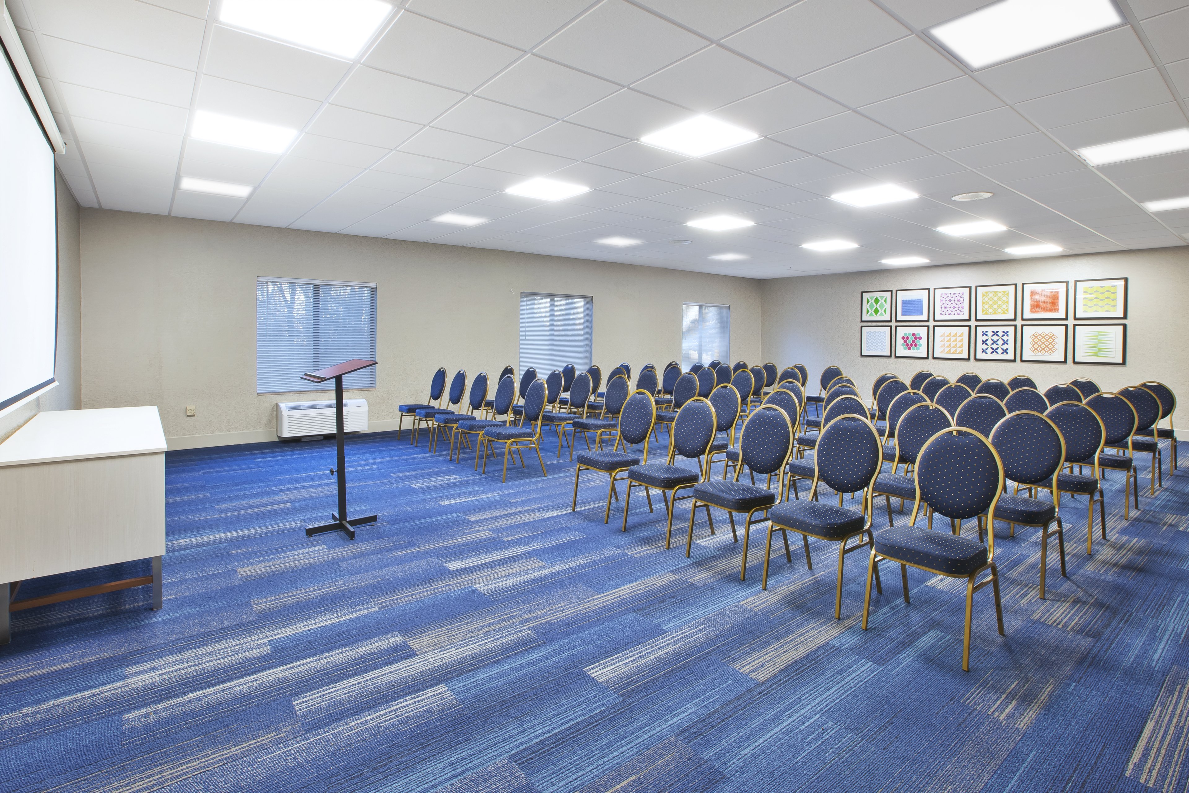 Holiday Inn Express Hotel Suites Niles 47/51