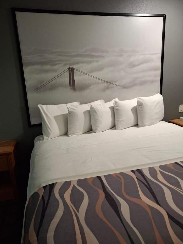 McGoverns Hotel and Suites 23/45