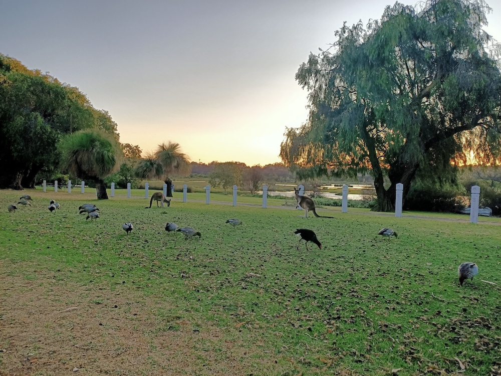 Yanchep Inn 27/41