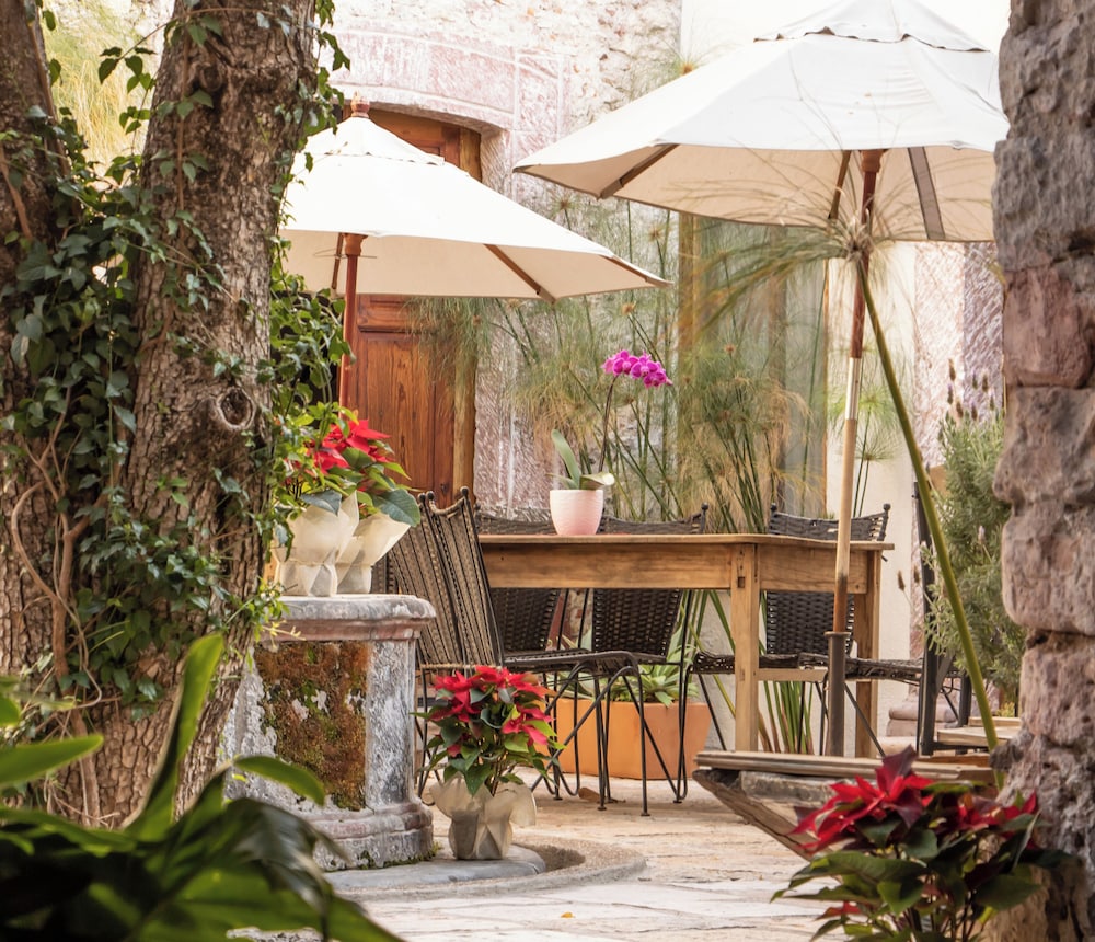 Orchid House San Miguel de Allende 3/50
