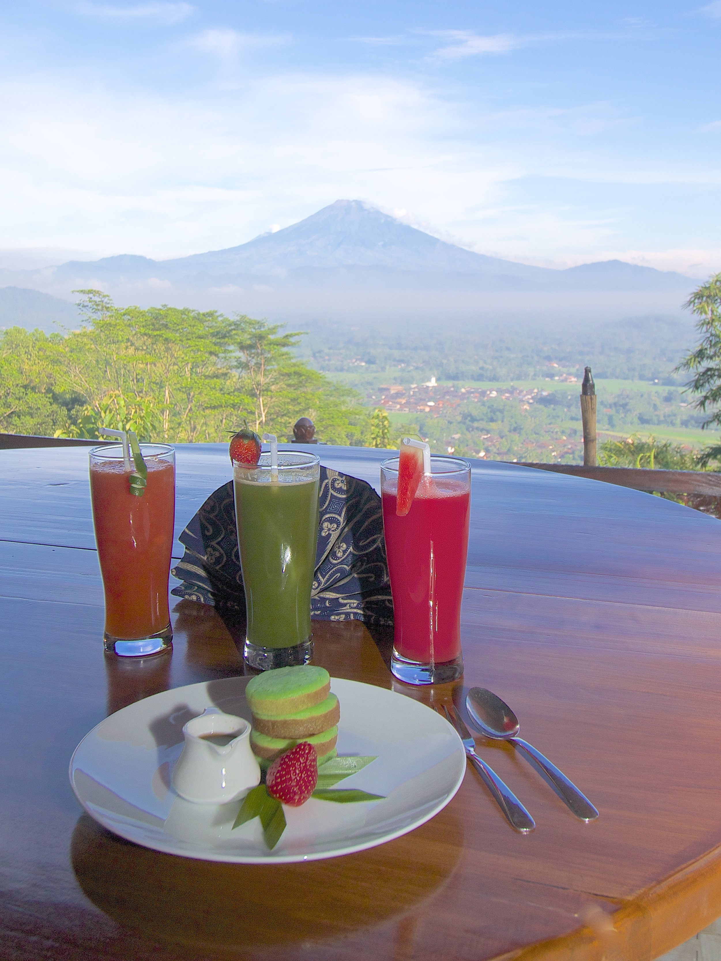 Villa Borobudur Resort 58/83