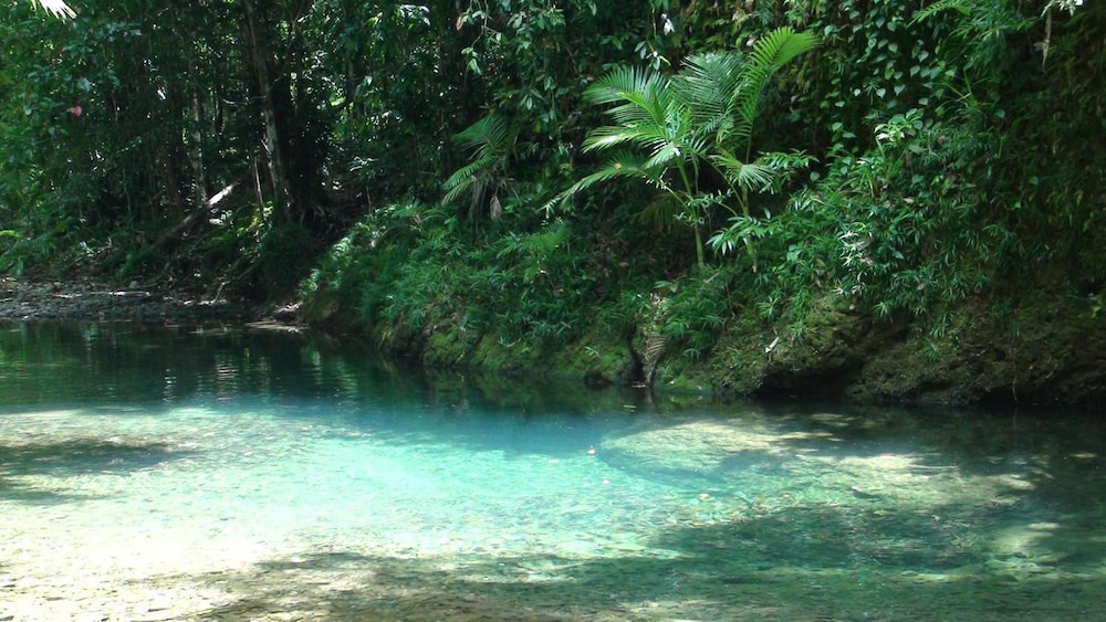 Heritage Lodge In the Daintree 35/53