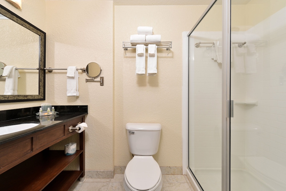 Holiday Inn Montgomery Airport South 18/80