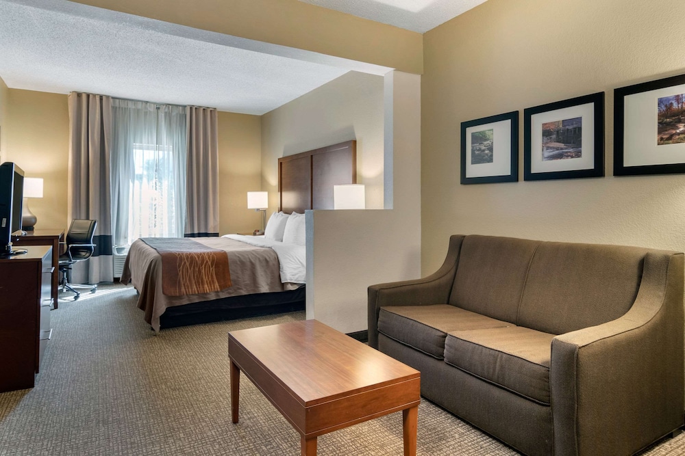 Comfort Inn Suites Suwanee Sugarloaf 20/36