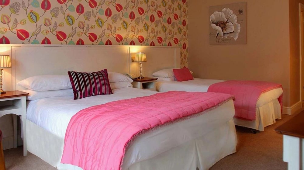ABBEYLEIX MANOR HOTEL 6/35