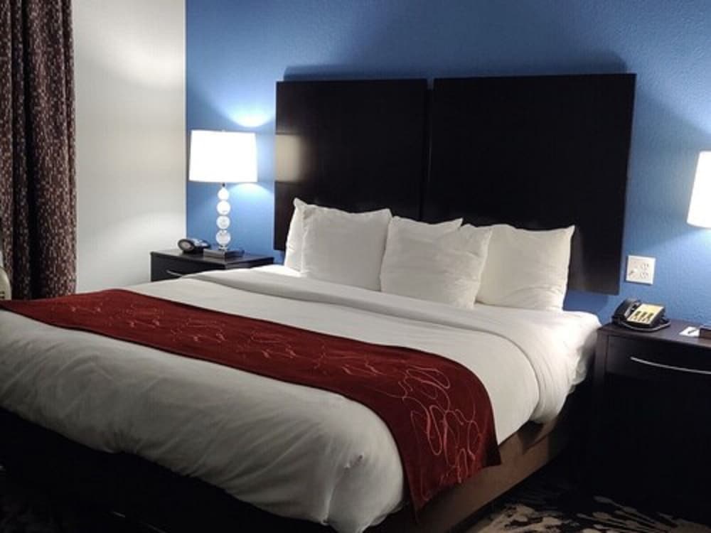 Comfort Suites Greenville 8/42