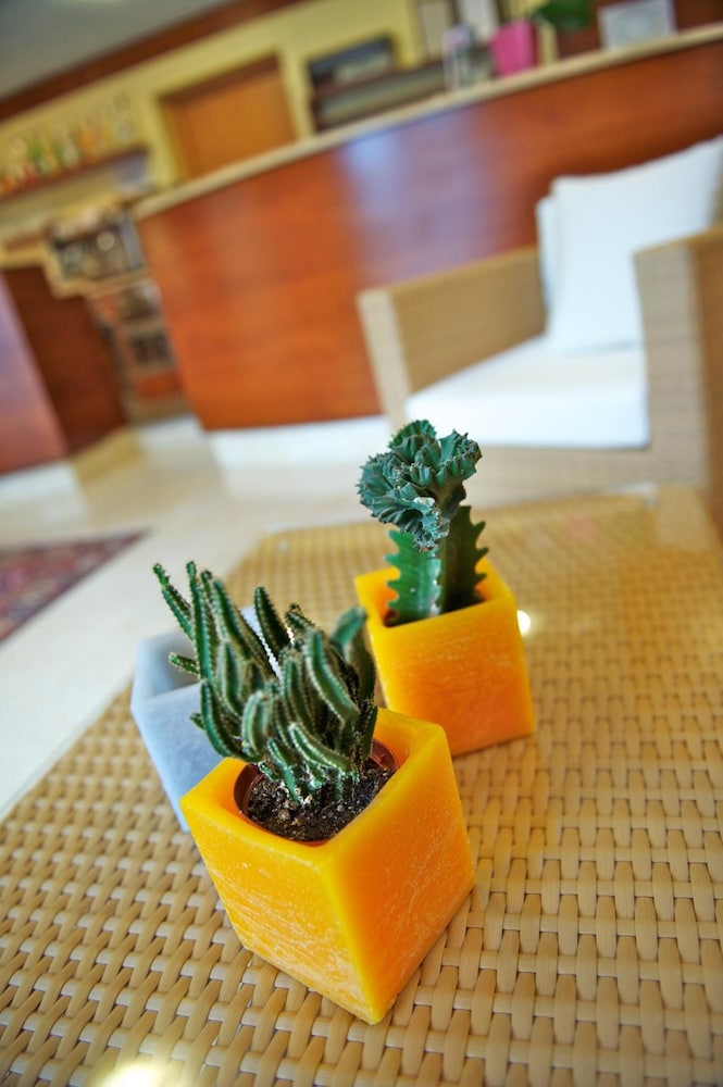 Hotel Garni Orchidea 29/50
