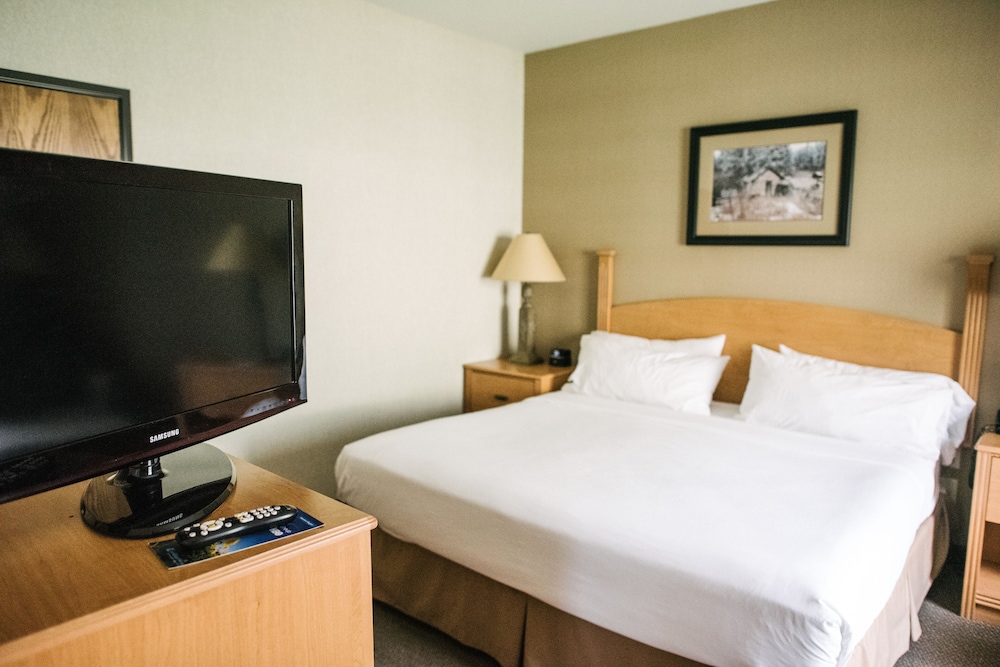 Holiday Inn Express and Suites Custer 21/59