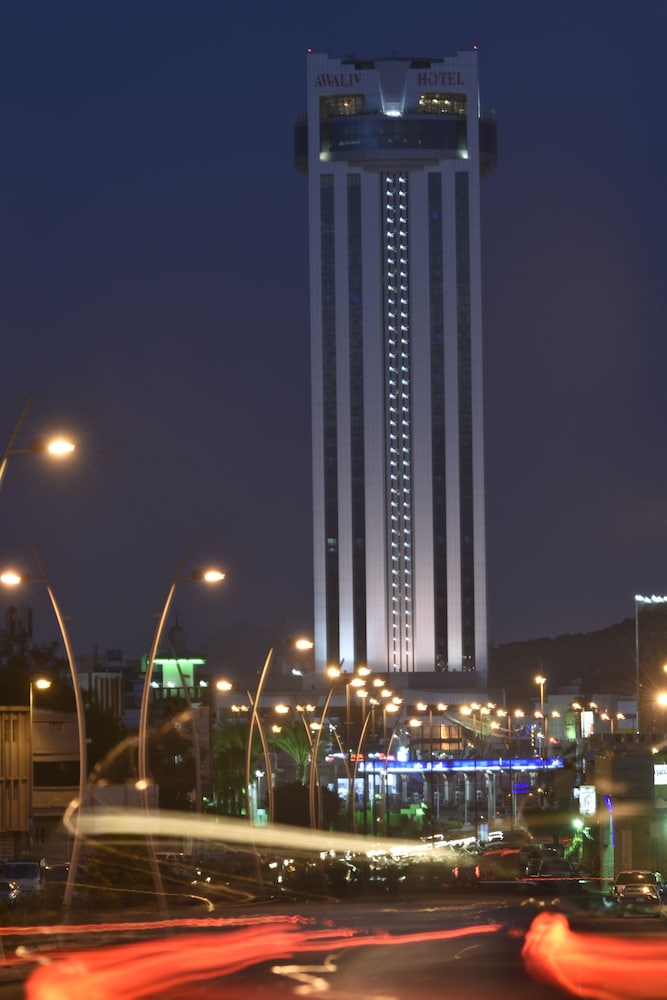 Awaliv International Hotel in TAIF