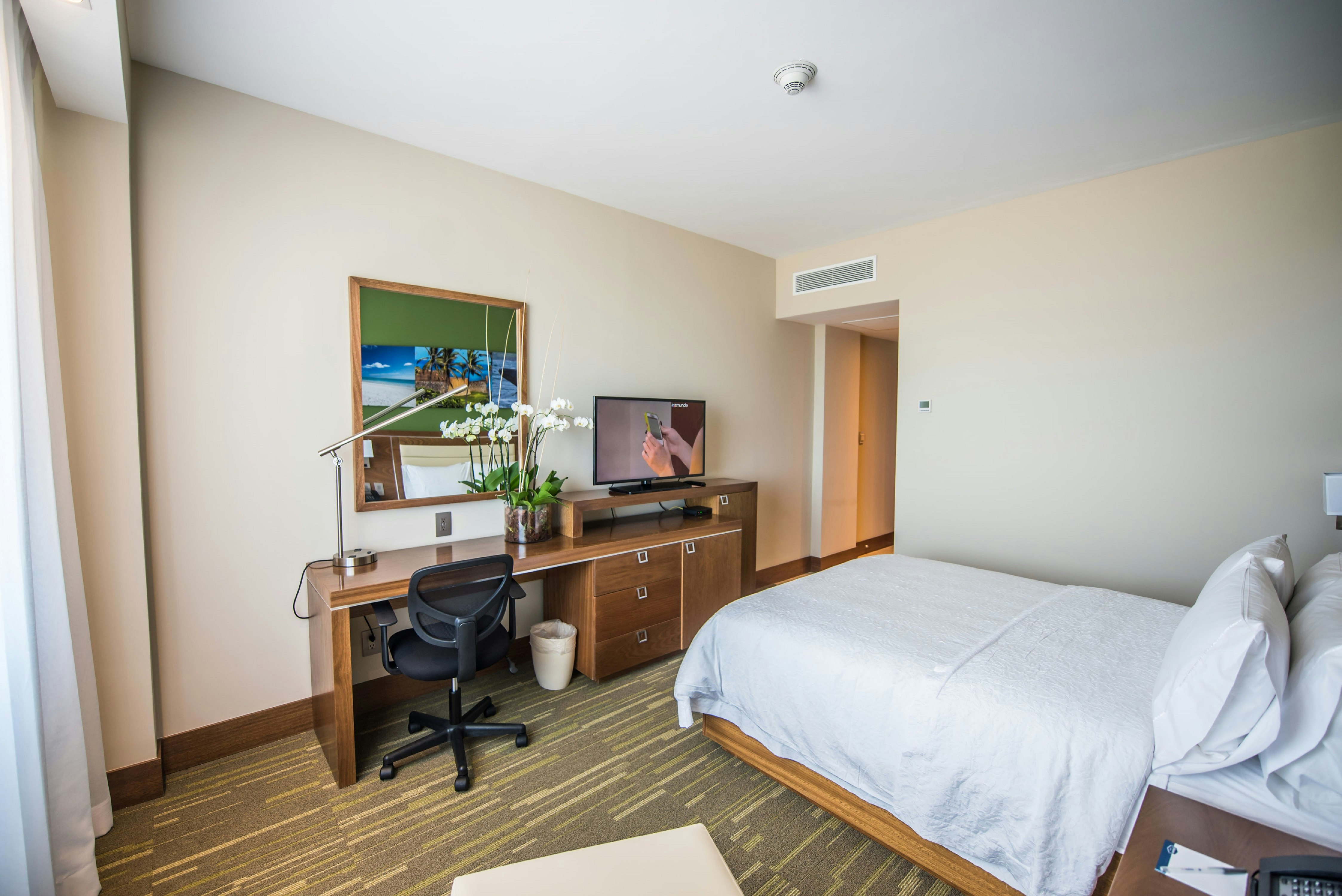 ROOM, QUEEN BED, ACCESSIBLE