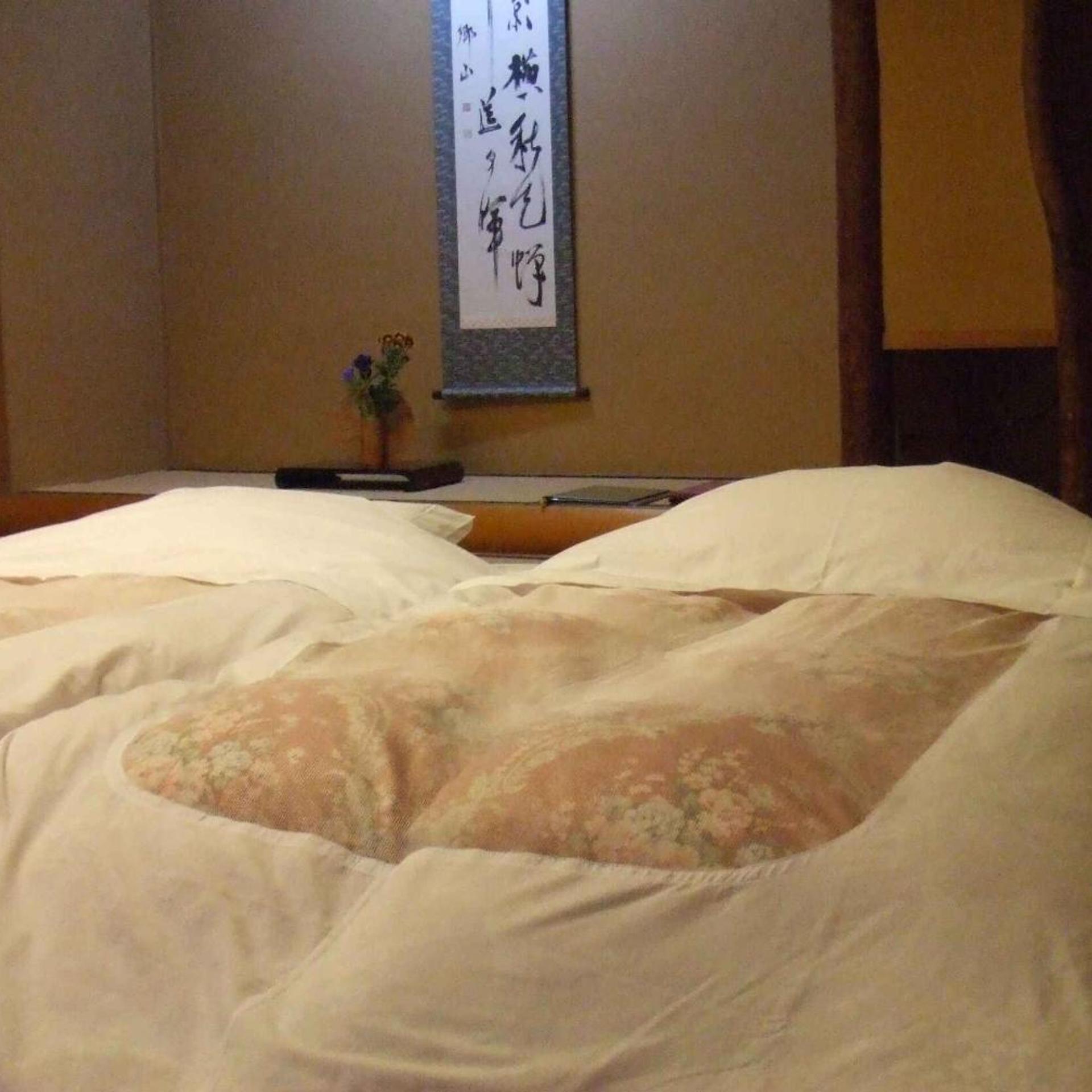 Hakone Tonosawa Onsen Shiunso 13/50