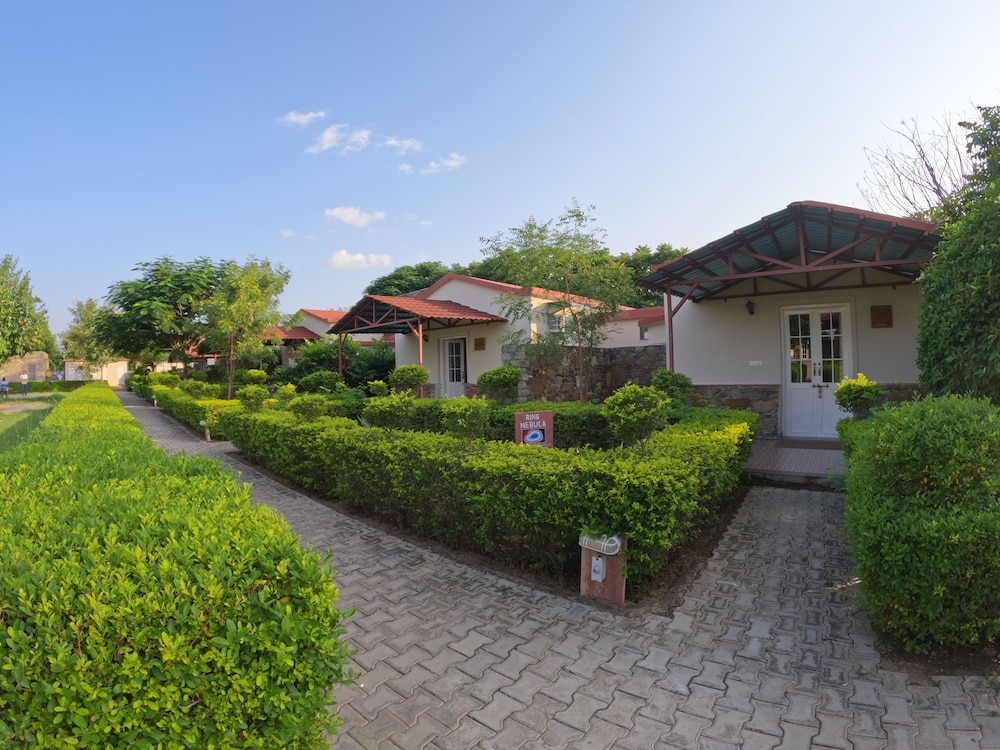 Astroport Sariska Treetop by Eight Continents 55/58