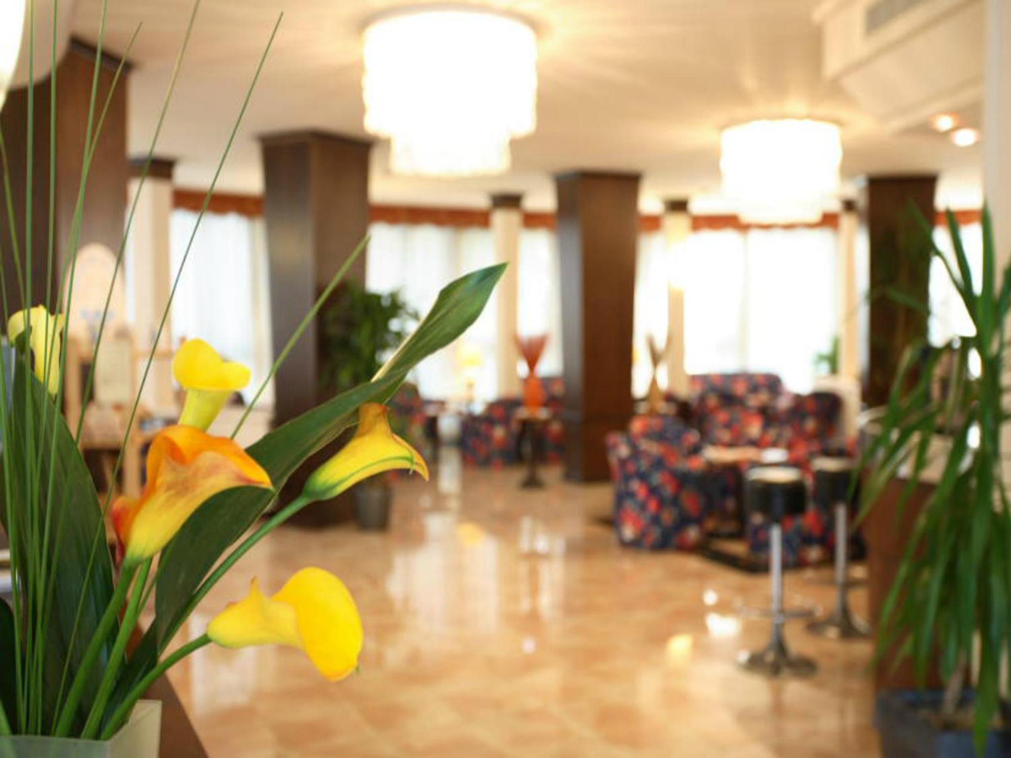 Hotel Fenice 33/55