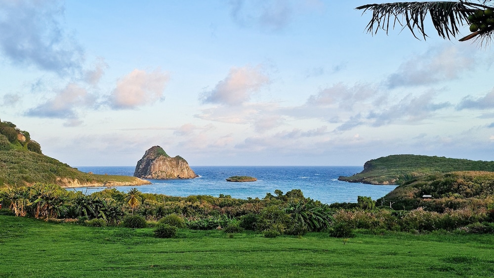Nannai Noronha 37/50