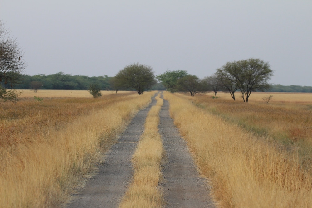 The Blackbuck Trails, VELAVADAR 32/49