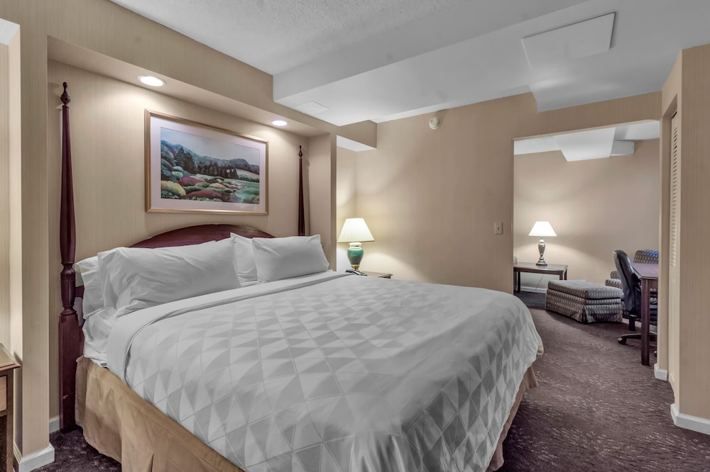 Buffalo Airport Hotel 17/61