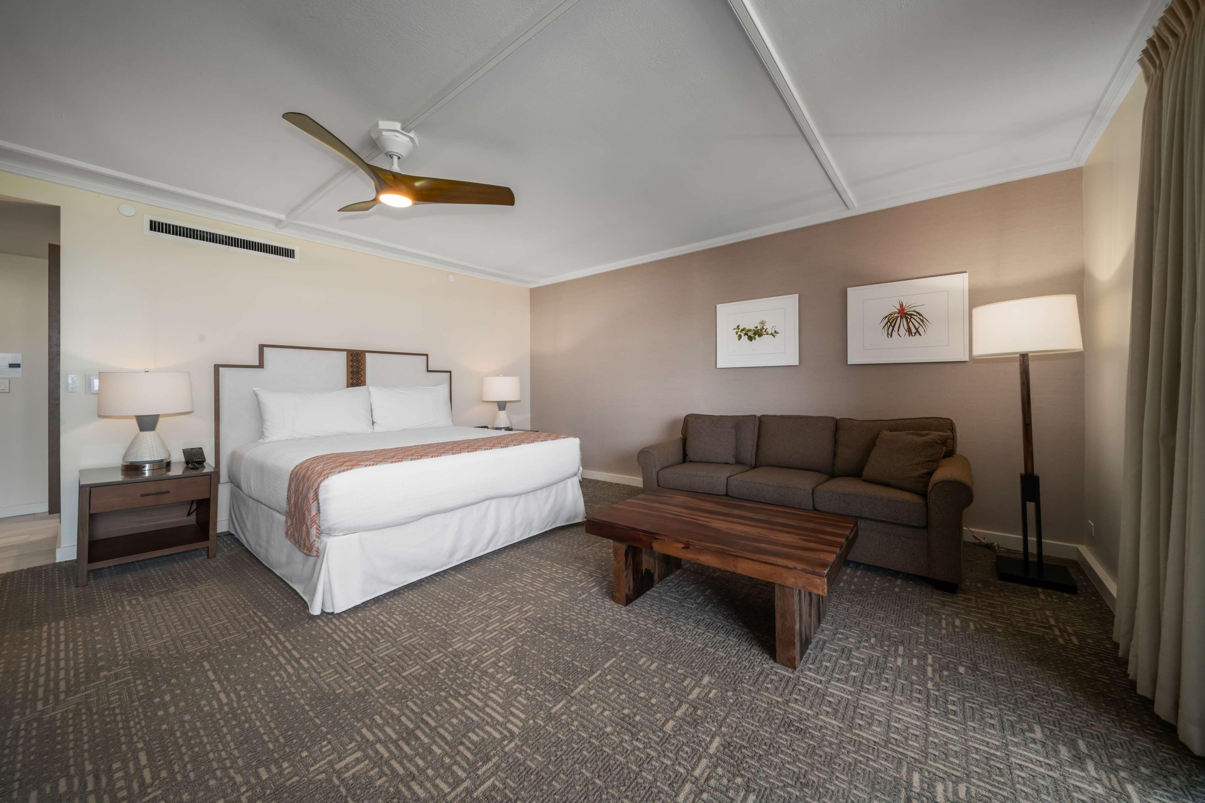 Courtyard, Premium, Junior Suite, King Bed, Accessible