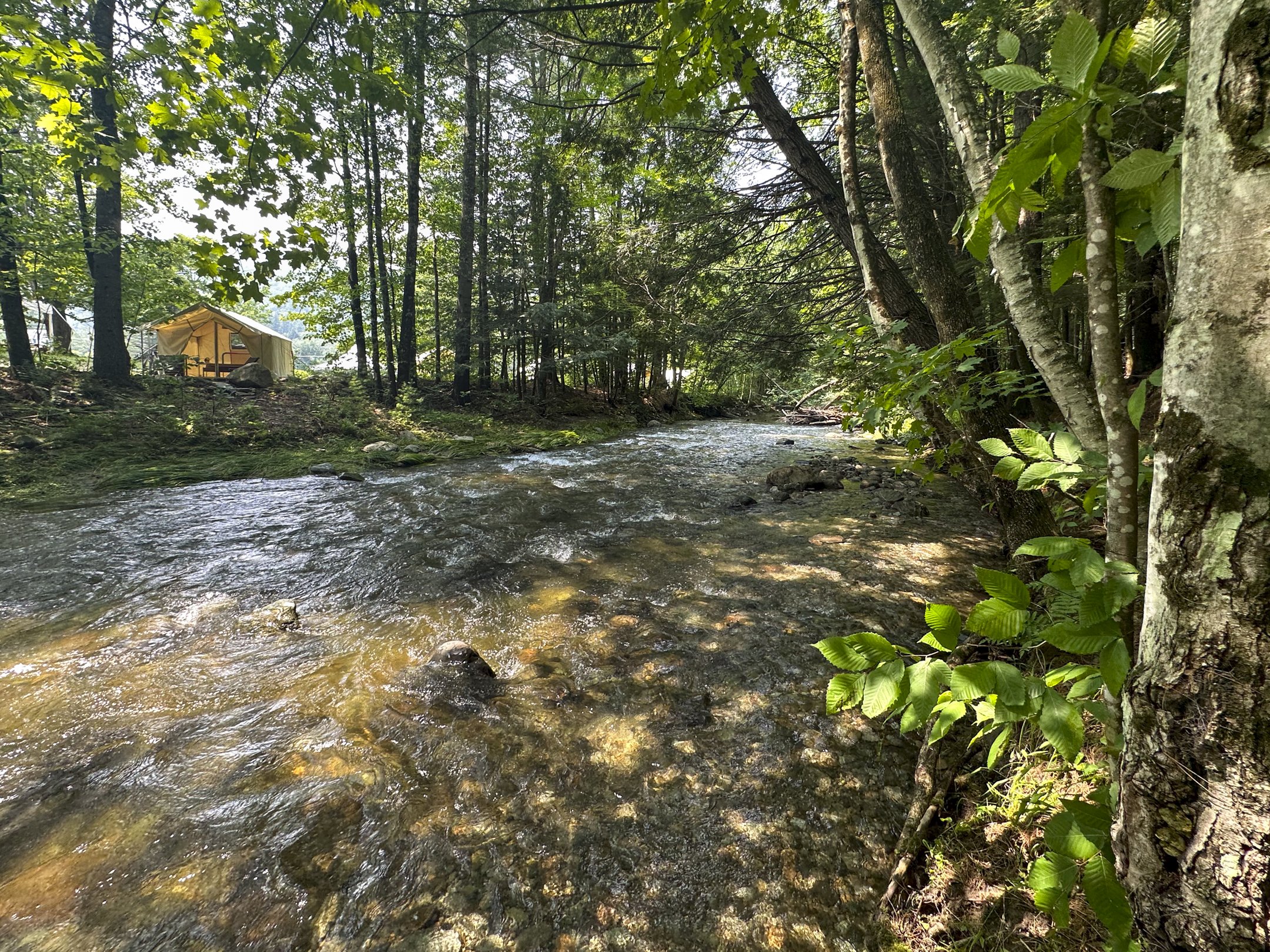 Madbush Falls 25/26