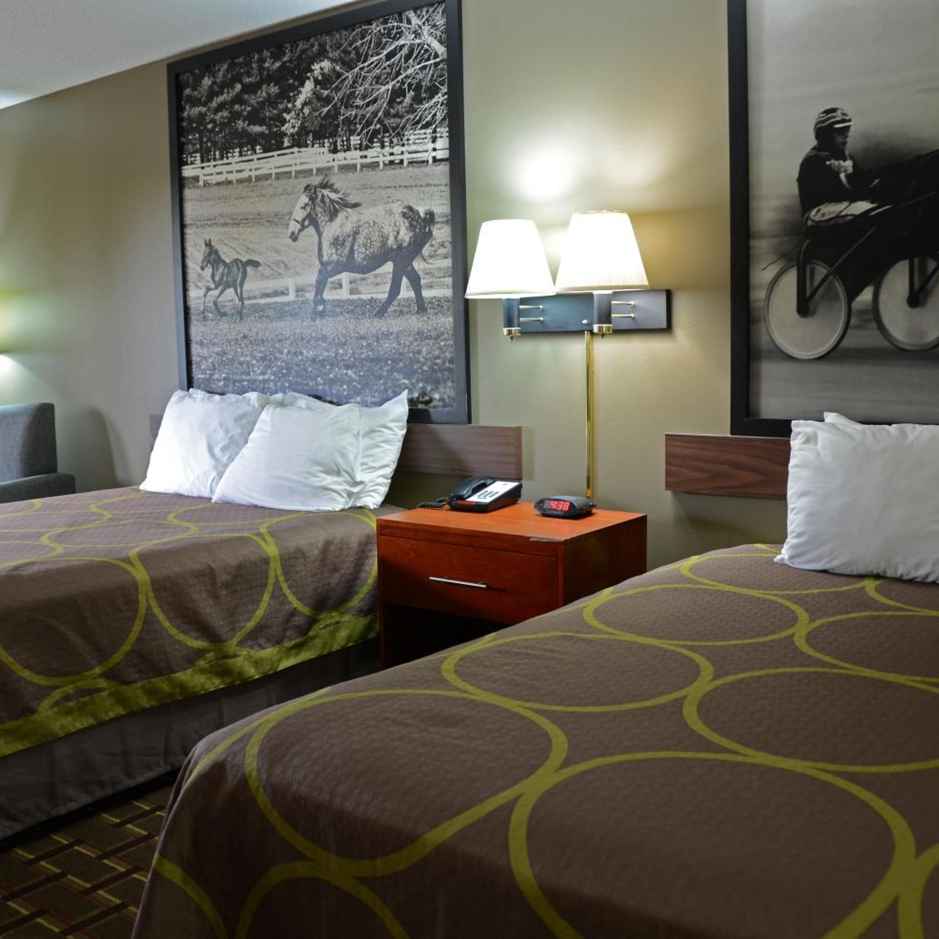 Super 8 by Wyndham Franklin Hwy 31 19/36