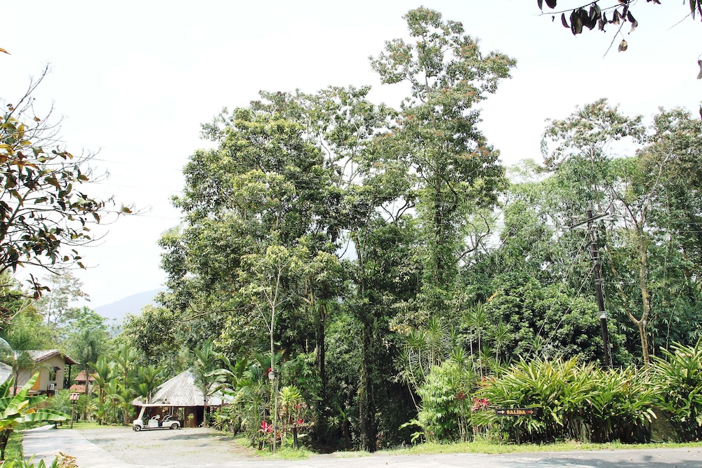 Hotel Kokoro Mineral Hot Springs 60/68
