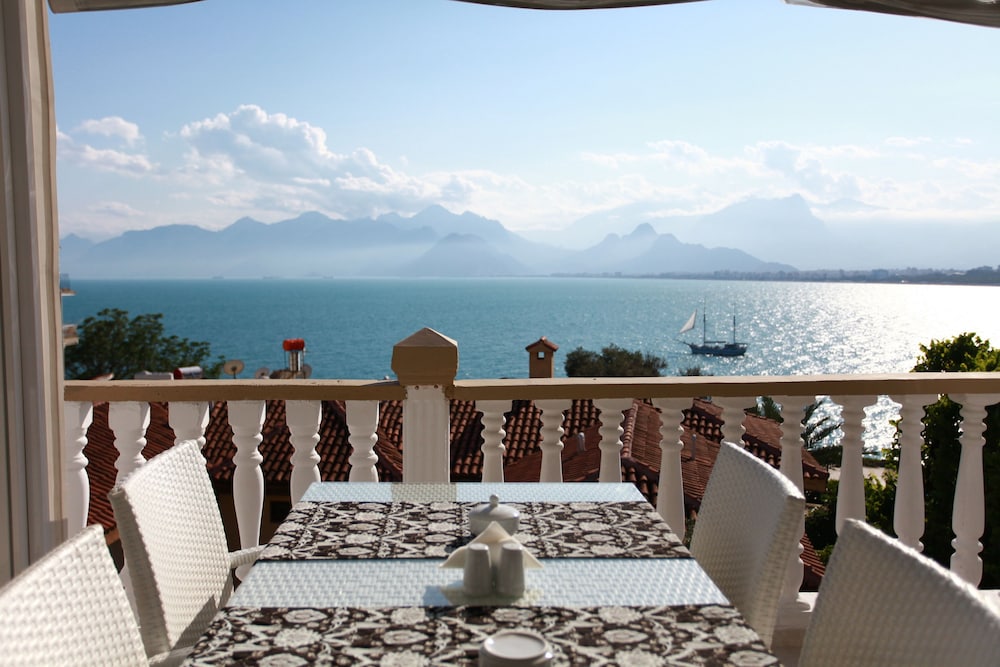 Bacchus Pension 33/49