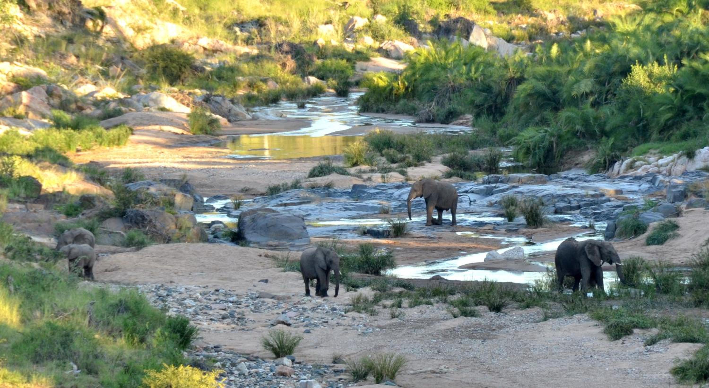 Greenfire Game Lodge 41/50