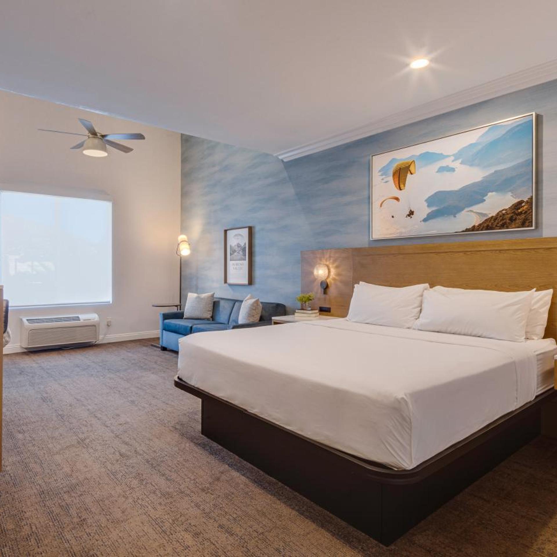 Suite, King Bed