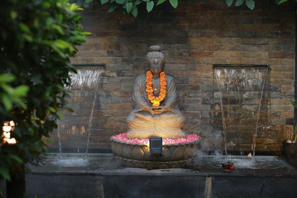 IDEAL AYURVEDIC RESORT AND NEW IDEAL PANCHAKARMA CENTRE 8/50