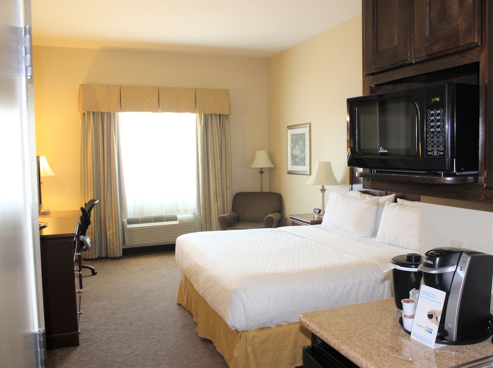 Holiday Inn Express Hotel And Suites Cedar Hill 21/69