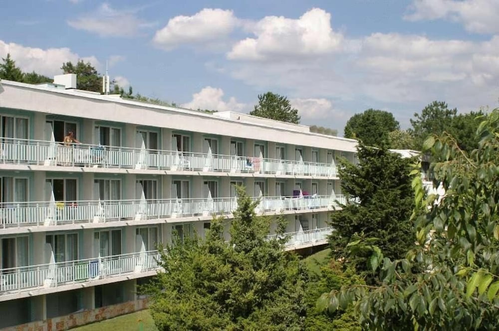 Hotel Orchidea Park All Inclusive 4/59