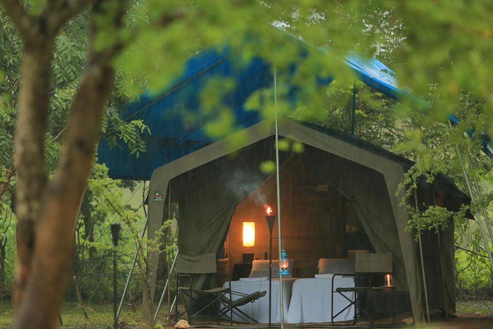 Glamping, Safari Building