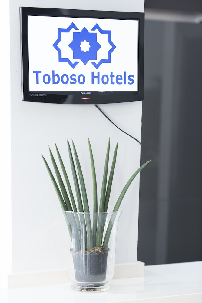 Toboso Chaparil 20/45