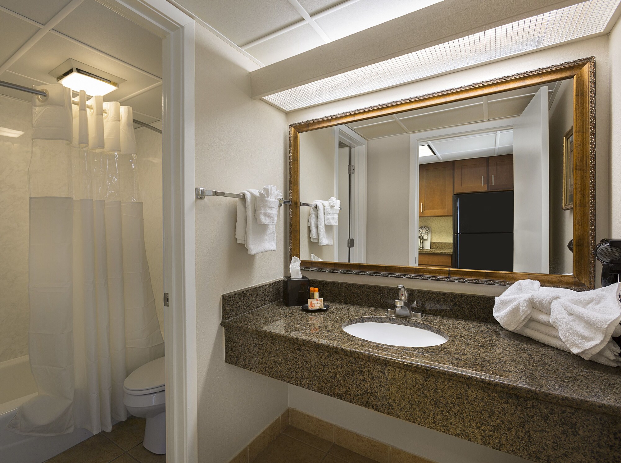 Standard, 2 Queen Beds, Open Plan View، Coral Beach Resort Hotel Suites 3/3