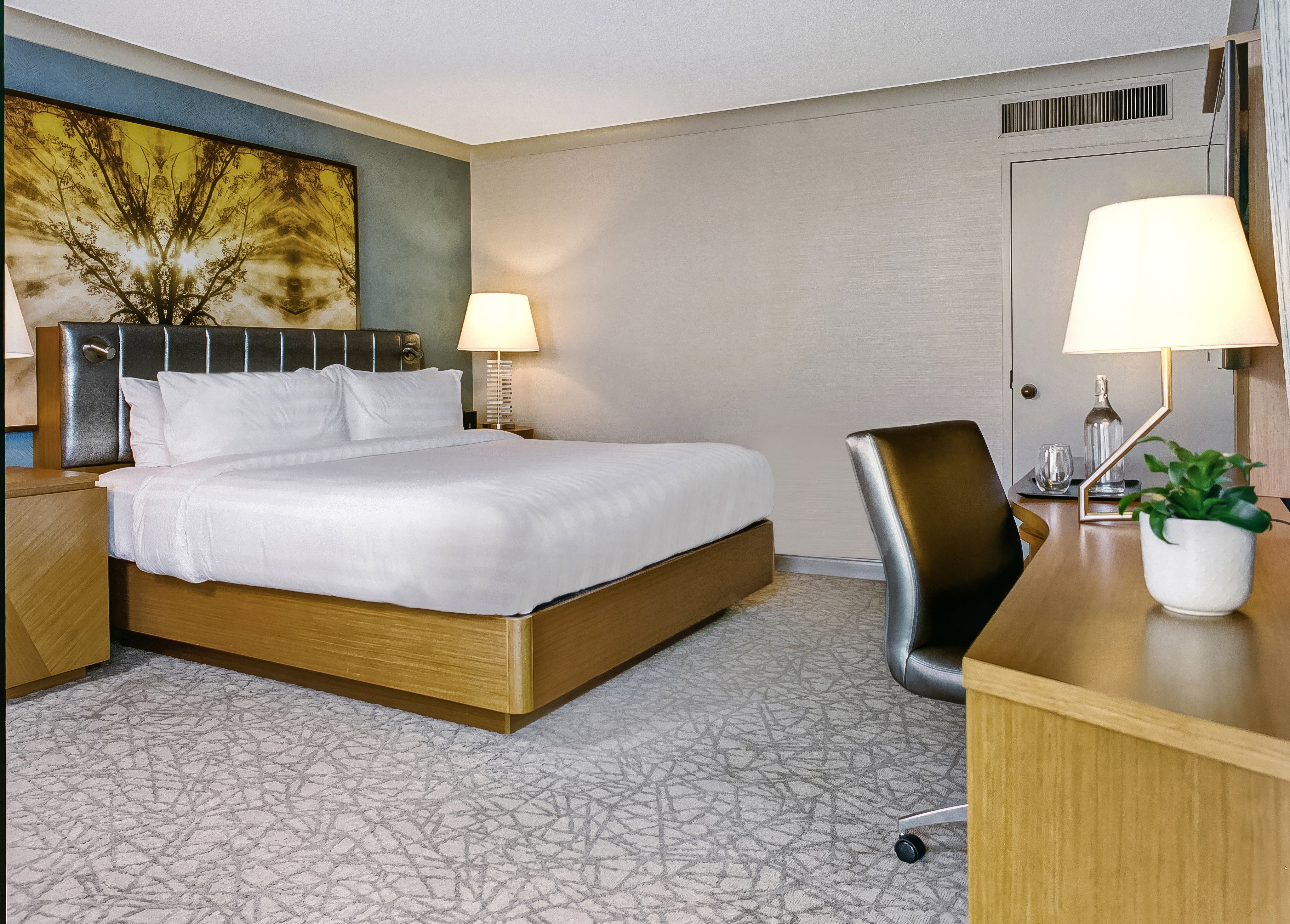 STANDARD, KING BED, ACCESSIBLE